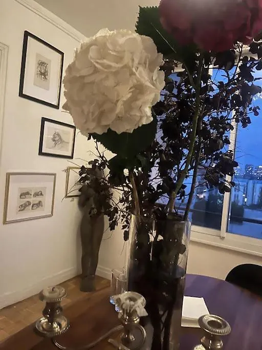 Vaste Appt Baigne De Lumiere Apartment Paris France